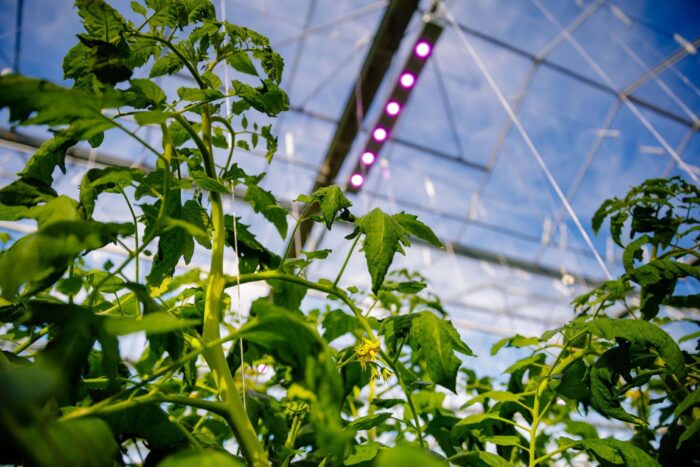 fotografia produktowa lublin szymanek fotograf