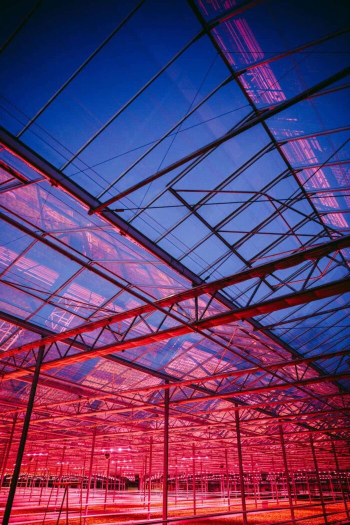 fotografia produktowa lublin szymanek fotograf