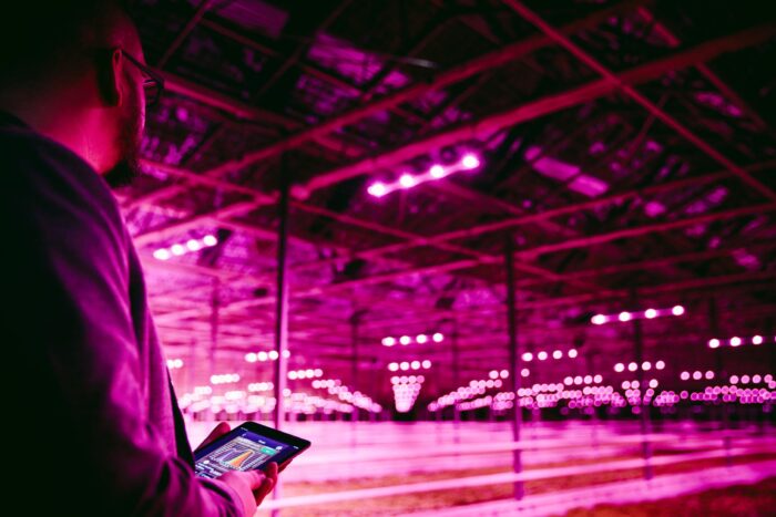 fotografia produktowa lublin szymanek fotograf