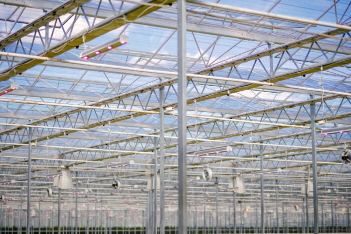 fotografia produktowa lublin szymanek fotograf