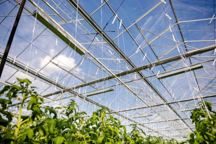 fotografia produktowa lublin szymanek fotograf