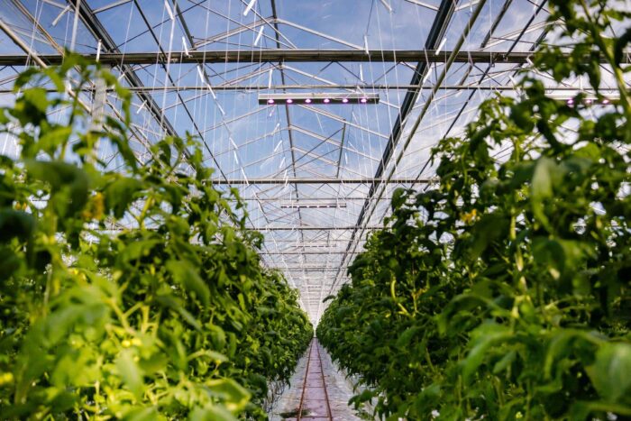 fotografia produktowa lublin szymanek fotograf