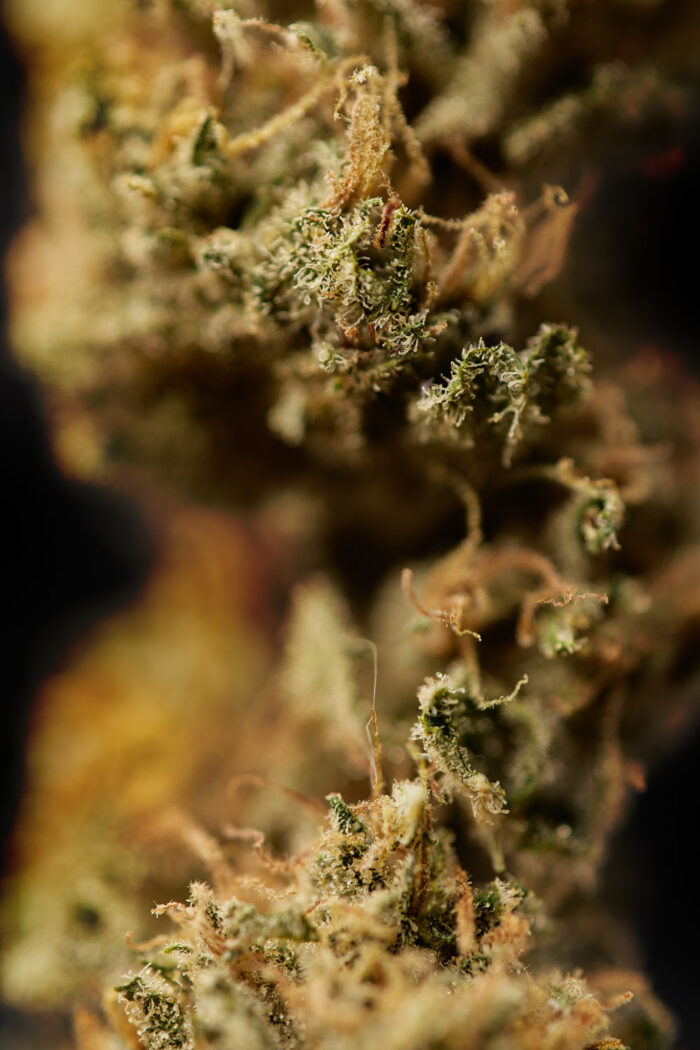 fotografia produktowa lublin szymanek fotograf