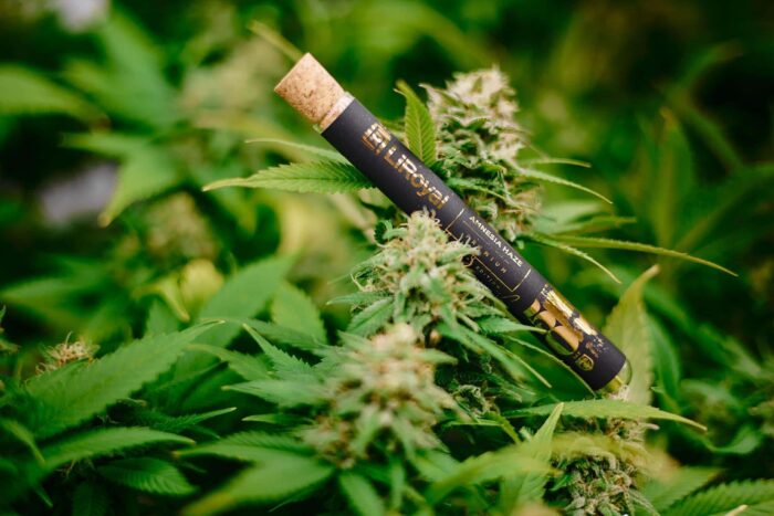 fotografia produktowa lublin szymanek fotograf